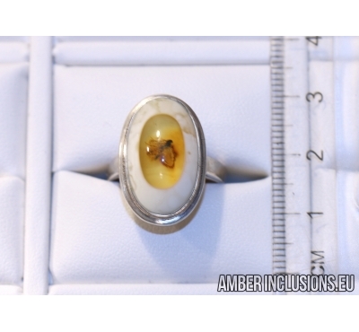 Genuine Baltic amber silver ring with fossil inclusion - Fly