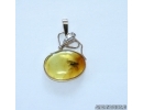 Genuine Baltic amber golden pendan with fossil insect- Fly. #g160_0004