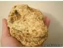 Unique White Color, Genuine BALTIC AMBER Stone. 475 grams. #st-019