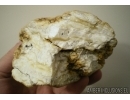 Unique White Color, Genuine BALTIC AMBER Stone. 475 grams. #st-019