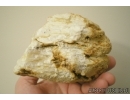 Unique White Color, Genuine BALTIC AMBER Stone. 475 grams. #st-019