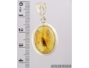 Genuine Baltic amber Silver pendant with fossil insect- Caddisfly Trichoptera #s050-018