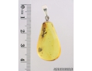 Genuine Baltic amber Silver pendant with fossil insect- Ant Hymenoptera. #s050-021