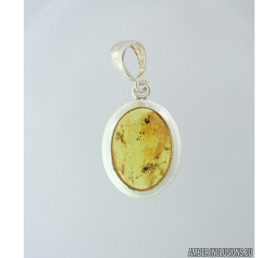 Genuine Baltic amber Silver pendant with fossil insect- Ant Hymenoptera. #s050-019