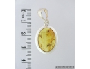 Genuine Baltic amber Silver pendant with fossil insect- Ant Hymenoptera. #s050-019