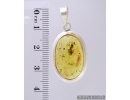 Genuine Baltic amber Silver pendant with fossil inclusion- Ant Hymenoptera. #s050-024