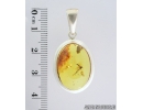 Genuine Baltic amber silver pendant with fossil insect- Fungus gnat Mycetophilidae. #s060-011