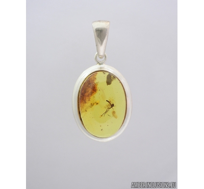 Genuine Baltic amber silver pendant with fossil insect- Fungus gnat Mycetophilidae. #s060-011