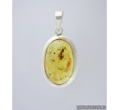 Genuine Baltic amber Silver pendant with fossil inclusion- Ant Hymenoptera. #s050-024