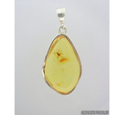 Genuine Baltic amber Silver pendant with fossil inclusion- Ant Hymenoptera. #s060-002