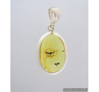 Genuine Baltic amber Silver pendant with fossil inclusion- Ant Hymenoptera. #s060-001