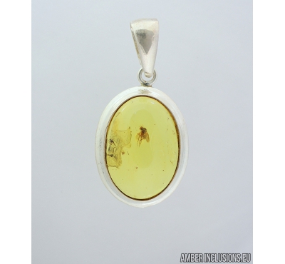 Genuine Baltic amber Silver pendant with fossil insect- Long-legged fly Dolichopodidae. #s060-005