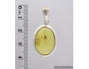 Genuine Baltic amber Silver pendant with fossil insect- Long-legged fly Dolichopodidae. #s060-005