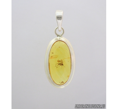 Genuine Baltic amber silver pendant with fossil insect- Fungus gnat Mycetophilidae. #s060-012