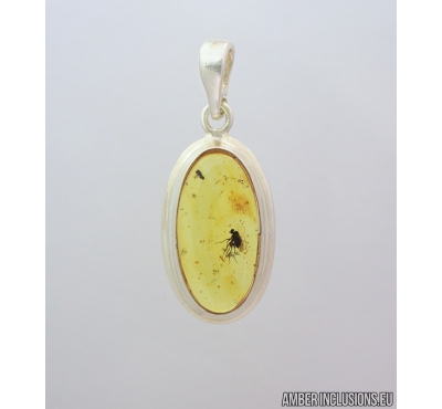 Genuine Baltic amber Silver pendant with fossil insect- Long-legged fly Dolichopodidae. #s060-006