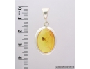 Genuine Baltic amber Silver pendant with fossil insect- Long-legged fly Dolichopodidae. #s060-008