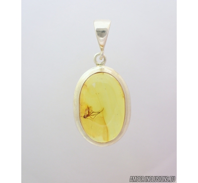 Genuine Baltic amber silver pendant with fossil insect- Fungus gnat Mycetophilidae. #s060-010
