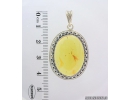 Genuine Baltic amber Silver pendant with fossil inclusion- Caddisfly Trichoptera #s080-003