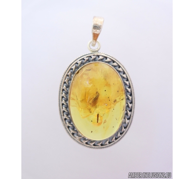 Genuine Baltic amber Silver pendant with fossil inclusion- Caddisfly Trichoptera #s080-004