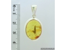 Genuine Baltic amber silver pendant with fossil inclusion- Plant, Thuja. #s080-001