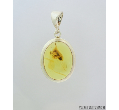 Genuine Baltic amber silver pendant with fossil insect- Ant Hymenoptera #s080-002