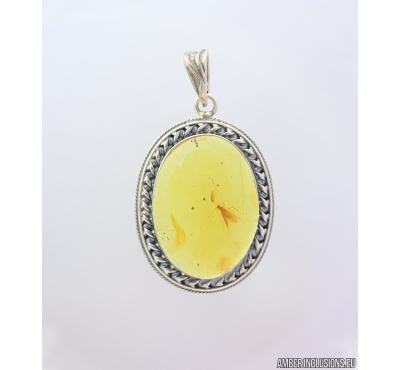 Genuine Baltic amber Silver pendant with fossil inclusion- Caddisfly Trichoptera #s080-003