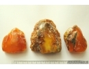 Set of 3 Genuine Baltic amber stones 137g #st-043