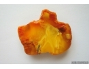 Genuine Unique Color Antique Baltic amber stone 13.9 g #st-045