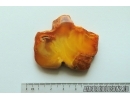 Genuine Unique Color Antique Baltic amber stone 13.9 g #st-045