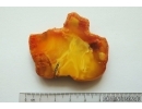 Genuine Unique Color Antique Baltic amber stone 13.9 g #st-045