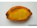 Genuine Unique Color Antique Baltic amber stone 11.1 g #st-046