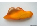 Genuine Unique Color Antique Baltic amber stone 11.5 g #st-047