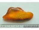 Genuine Unique Color Antique Baltic amber stone 11.5 g #st-047