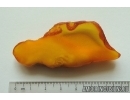 Genuine Unique Color Antique Baltic amber stone 11.5 g #st-047