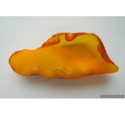 Genuine Unique Color Antique Baltic amber stone 11.5 g #st-047
