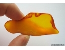 Genuine Unique Color Antique Baltic amber stone 11.5 g #st-047