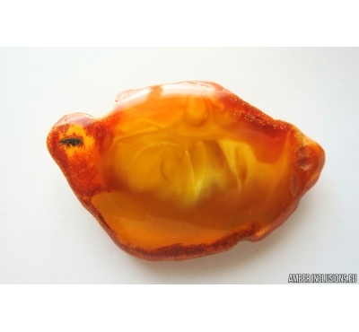Genuine Unique Color Antique Broshe Baltic amber stone 16.8 g #st-048
