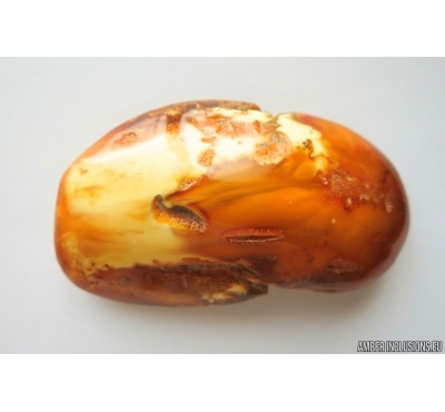 Genuine Unique Color Antique Baltic amber stone 15.7g #st-049