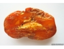 Genuine Unique Color Antique Baltic amber stone 15.7g #st-049