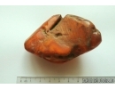 Genuine Antique Baltic amber stone 51 g #st-050