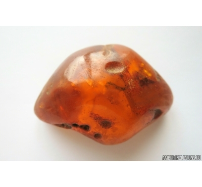 Genuine Antique Baltic amber stone 51 g #st-050