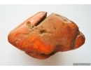 Genuine Antique Baltic amber stone 51 g #st-050