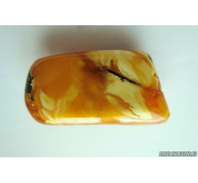 Genuine Unique Color Antique Broshe Baltic amber stone 10g #st-051