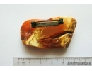 Genuine Unique Color Antique Broshe Baltic amber stone 10g #st-051