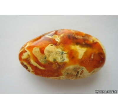 Genuine Unique Color Antique Broshe Baltic amber stone 9.9g #st-052