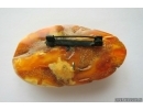 Genuine Unique Color Antique Broshe Baltic amber stone 9.9g #st-052