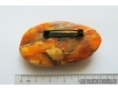 Genuine Unique Color Antique Broshe Baltic amber stone 9.9g #st-052