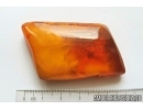 Genuine Antique Baltic amber stone 15.3 g #st-065