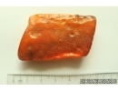 Genuine Antique Baltic amber stone 15.3 g #st-065