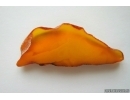 Genuine Antique Baltic amber stone 8.1 g #st-066